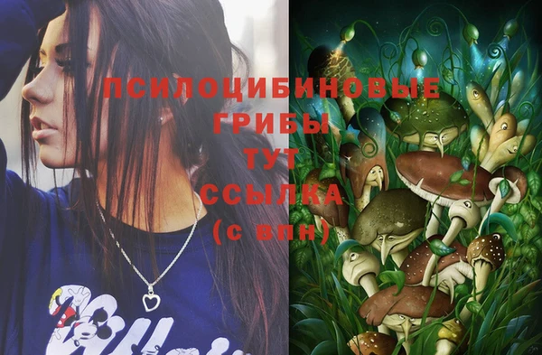 метадон Ельня