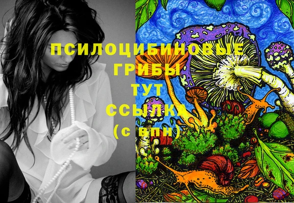 MDMA Елизово