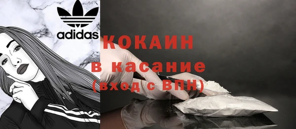 шишки Наволоки