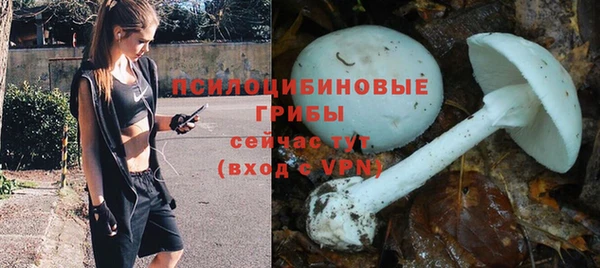 MDMA Елизово
