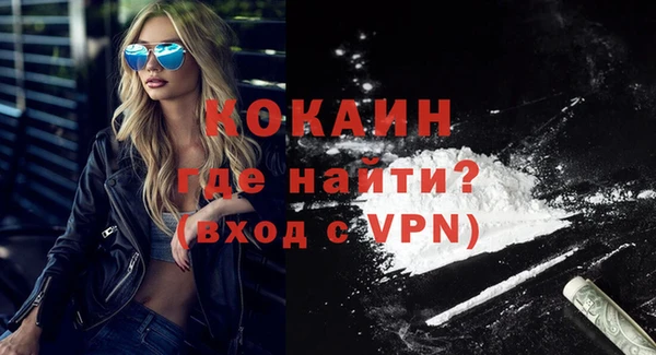 метадон Ельня