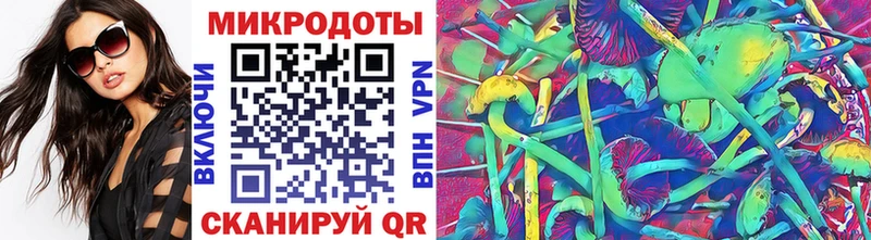 Псилоцибиновые грибы Psilocybine cubensis  наркошоп  Старица 